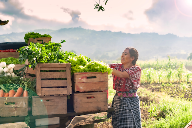 Banco de Bogota: Image of a woman tending to produce boxes kept on a truck.
